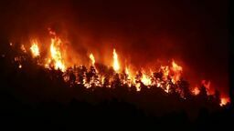 Pożary trawią grecką wyspę Evia