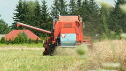 Bardzo duże zmiany na wsi przez 500 plus. Lubelskie nadal stoi burakiem