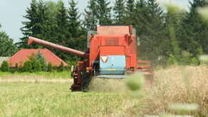 Bardzo duże zmiany na wsi przez 500 plus. Lubelskie nadal stoi burakiem
