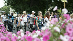 42. Lubelska Piesza Pielgrzymka