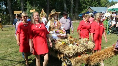 Dożynki. Zdjęcie ilustracyjne