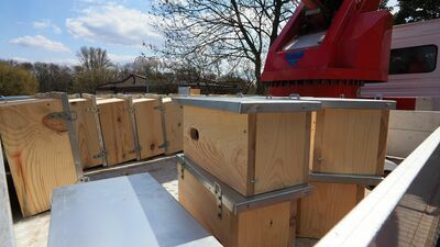 Jerzyki i nietoperze będą miały w Lublinie nowe domki