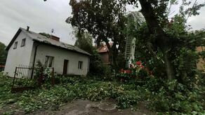 Usuwanie powalonych drzew przy ulicy Czaplińskiego