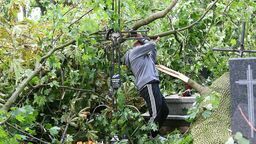 Duże zniszczenia po burzy na cmentarzu w Konopnicy. "Proszę nie sprzątać" [zdjęcia]