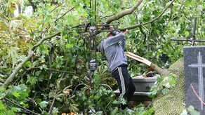 Duże zniszczenia po burzy na cmentarzu w Konopnicy. "Proszę nie sprzątać" [zdjęcia]
