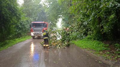 Ulica Pliszczyńska w Lublinie
