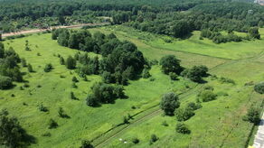 Lublin. Miejscy radni chcą ochrony wąwozu przy lesie