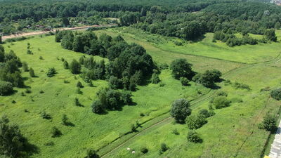 Lublin. Miejscy radni chcą ochrony wąwozu przy lesie
