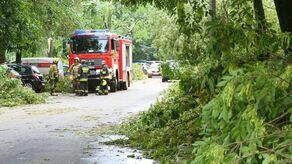 Skutki burzy z silnym wiatrem, jaka przeszła w sierpniu nad Lublinem