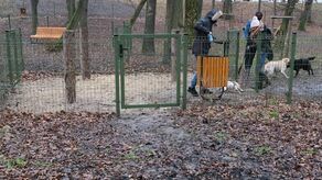 Zdjęcie ilustracyjne