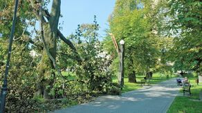 Połamane drzewa wciąż widać m.in. na pl. Kaczyńskiego