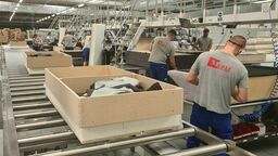 Linia tapicerska w zakładzie Meble Polskie