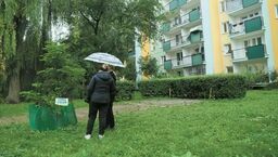 Teraz cześć mieszkańców wnioskuje o niskie nasadzenia na tym terenie