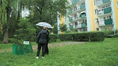 Teraz cześć mieszkańców wnioskuje o niskie nasadzenia na tym terenie