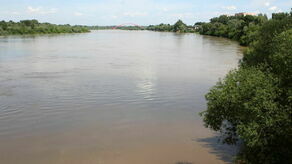 Tak było w czerwcu 2020 roku: Wisła w Annopolu przekroczyła stan alarmowy, a w Puławach stan ostrzegawczy.