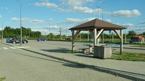 200 zł mandatu dla parkujących w tych miejscach bez biletu komunikacji miejskiej