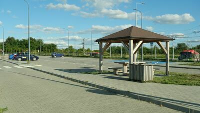 200 zł mandatu dla parkujących w tych miejscach bez biletu komunikacji miejskiej