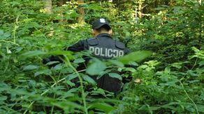 Zdjęcie ilustracyjne