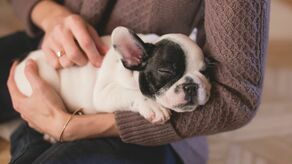 Zdjęcie ilustracyjne