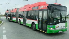 Lublin. Kogo słychać w autobusach i trolejbusach