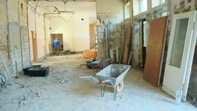 Choć liczba cudzoziemców zgłoszonych w ZUS stale rośnie, to nie mają oni wielkiego wpływu na system ubezpieczeń społecznych w Polsce. Z prognoz Zakładu wynika, że ich napływ nie zatrzyma negatywnych skutków starzenia się społeczeństwa