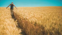 W Ministerstwie Rolnictwa i Rozwoju Wsi czekają na filmy o rolnikach