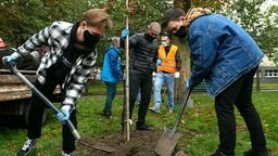 Puławy. Leśnicy rozdają sadzonki