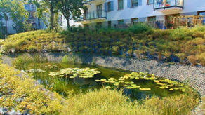 Nauczą, jak można się przydać przyrodzie