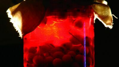 Jesienny smak. Sprawdzone przepisy na przetwory domowe