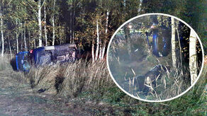 Lubelskie. Łoś wybiegł na drogę. Kierowca samochodu zginął na miejscu, pasażerka ranna