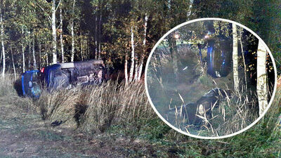 Lubelskie. Łoś wybiegł na drogę. Kierowca samochodu zginął na miejscu, pasażerka ranna