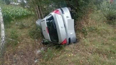 Kobieta straciła panowanie nad kierownicą po tym, jak do auta wpadła mucha