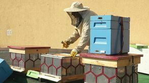 Kraśnik. Ule z recyklingu stanęły na dachu miejskiej instytucji