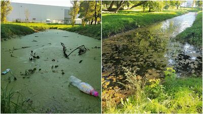 Lublin: Problem z odwodnieniem parku. Ratusz tłumaczy, że to przez bobry