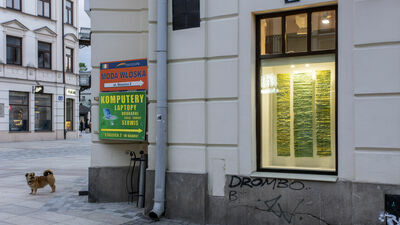 Skręcając z deptaka w ulicę Staszica, łatwo przegapić tę jedną z najmniejszych galerii świata. Podpowiadam: patrzymy w pierwszą witrynę kamienicy pod numerem 2, należącą do zakładu fotograficznego Kodak Express. Już dziś wieczorem pojawi się tam coś nowego