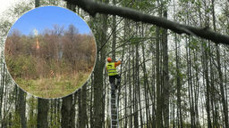 Drzewa nie zostały właściwie przycięte i zaczęły się palić po włączeniu prądu. Dopiero we wtorek zastaliśmy na miejscu drwali