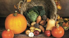 Zdjęcie ilustracyjne