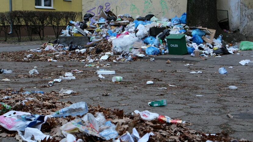 Nielegalne składowanie śmieci, czy akty wandalizmu to przykłady sygnałów, jakie do miejskich urzędników już wkrótce będą mogli wysyłać mieszkańcy Puław. To wszystko dzięki specjalnej platformie do komunikacji 