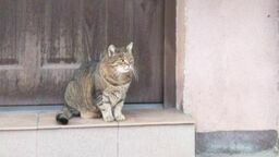 Przyjazne spacery weekendowe po Kośminku