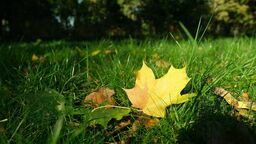 Zdjęcie ilustracyjne