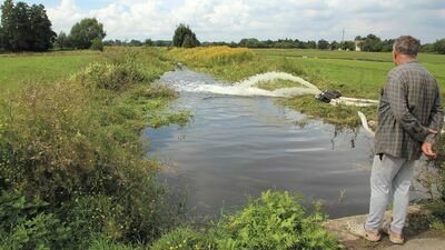 Klikawka w lecie tego roku, tuż za jednym z niedrożnych przepustów na terenie gminy Puławy