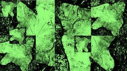 Performance "Habitat" na placu Litewskim