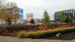 Puławy: Mieszkańcy zdecydowali na co wydać pół miliona złotych