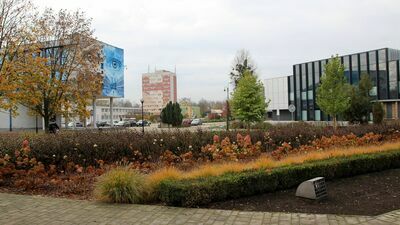 Puławy: Mieszkańcy zdecydowali na co wydać pół miliona złotych