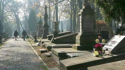 Lublin: Więcej miejsc parkingowych, specjalne linie na cmentarze