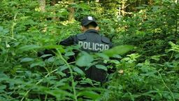 zdjęcie ilustracyjne 