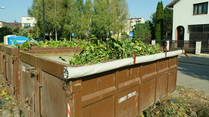 Kontenery na odpady zielone są ustawione m.in. przy ul. Polnej. W tym miejscu są też podrzucane śmieci
