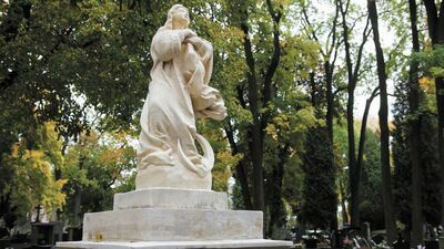 Lublin: Chcą odnowić zabytkowe nagrobki na cmentarzu. Czy w tym roku będzie kwesta?