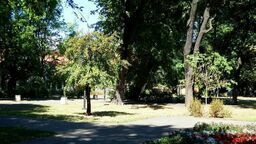 Lublin: Ciemno jak w parku Bronowickim. "Nie świeci około jednej trzeciej latarni"