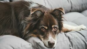 Zdjęcie ilustracyjne